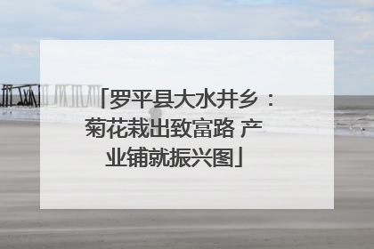 罗平县大水井乡：菊花栽出致富路 产业铺就振兴图