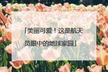 美丽可爱！这是航天员眼中的地球家园