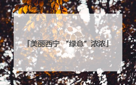 美丽西宁 “绿意”浓浓