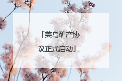 美乌矿产协议正式启动