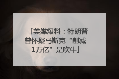 美媒爆料：特朗普曾怀疑马斯克“削减1万亿”是吹牛