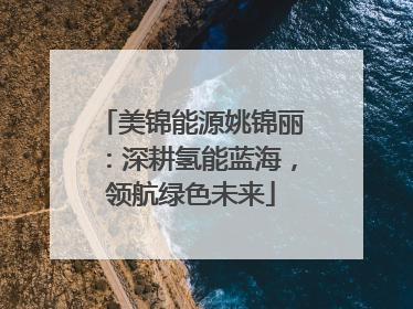 美锦能源姚锦丽：深耕氢能蓝海，领航绿色未来