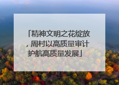 精神文明之花绽放，周村以高质量审计护航高质量发展