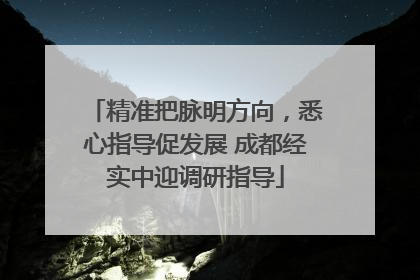 精准把脉明方向，悉心指导促发展 成都经实中迎调研指导