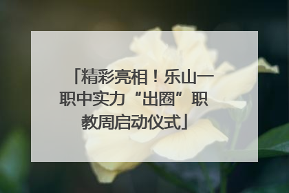 精彩亮相！乐山一职中实力“出圈”职教周启动仪式