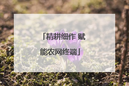 精耕细作 赋能农网终端