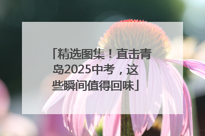 精选图集！直击青岛2025中考，这些瞬间值得回味