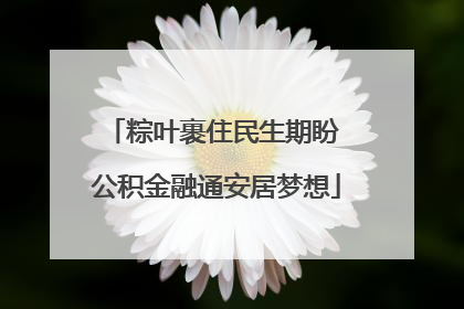 粽叶裹住民生期盼 公积金融通安居梦想