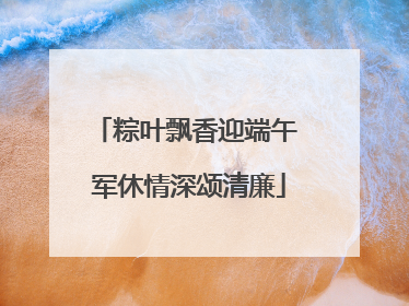 粽叶飘香迎端午 军休情深颂清廉