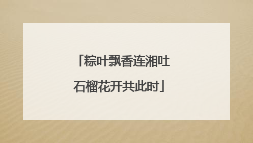 粽叶飘香连湘吐 石榴花开共此时