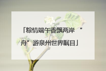 粽情端午香飘两岸 “舟”游泉州世界瞩目