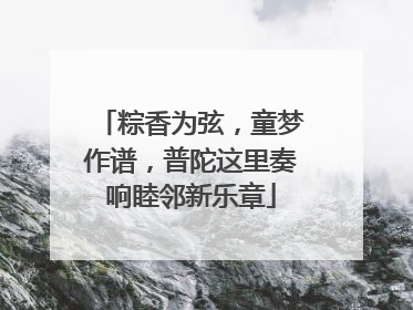 粽香为弦，童梦作谱，普陀这里奏响睦邻新乐章
