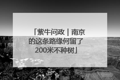 紫牛问政｜南京的这条路缘何留了200米不种树