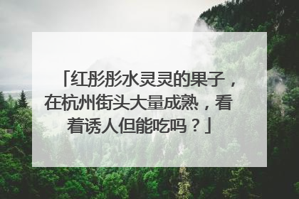 红彤彤水灵灵的果子，在杭州街头大量成熟，看着诱人但能吃吗？