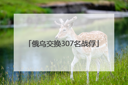 俄乌交换307名战俘