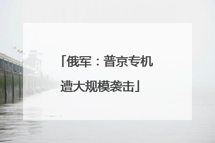俄军：普京专机遭大规模袭击