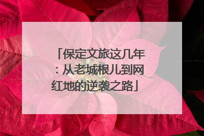 保定文旅这几年：从老城根儿到网红地的逆袭之路