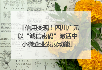 信用变现！四川广元以“诚信密码”激活中小微企业发展动能