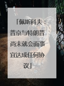 佩斯科夫：普京与特朗普尚未就会面事宜达成任何协议