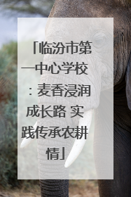 临汾市第一中心学校：麦香浸润成长路 实践传承农耕情