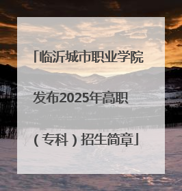 临沂城市职业学院发布2025年高职（专科）招生简章