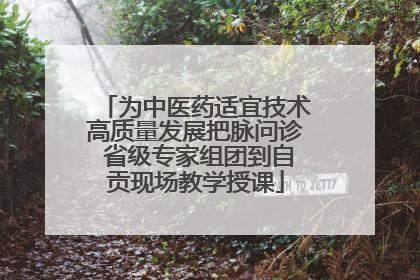 为中医药适宜技术高质量发展把脉问诊 省级专家组团到自贡现场教学授课