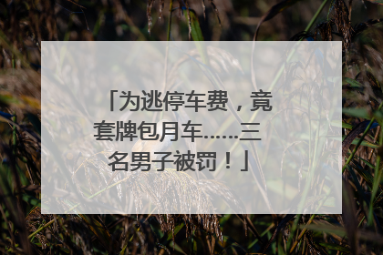 为逃停车费，竟套牌包月车……三名男子被罚！