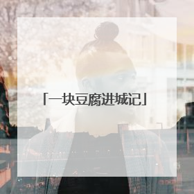 一块豆腐进城记
