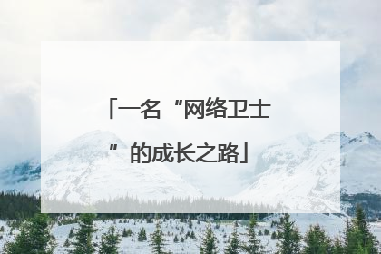 一名“网络卫士”的成长之路