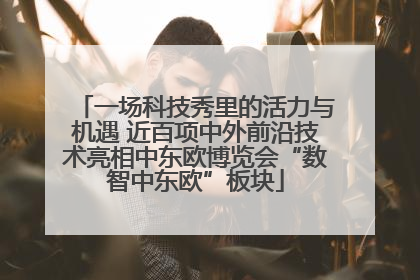 一场科技秀里的活力与机遇 近百项中外前沿技术亮相中东欧博览会“数智中东欧”板块