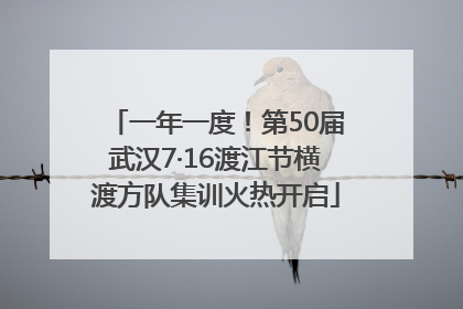 一年一度！第50届武汉7·16渡江节横渡方队集训火热开启