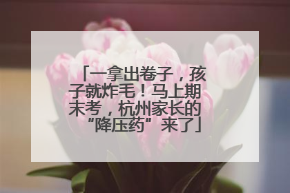 一拿出卷子，孩子就炸毛！马上期末考，杭州家长的“降压药”来了