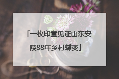 一枚印章见证山东安陵88年乡村蝶变