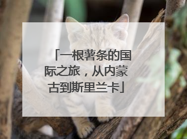 一根薯条的国际之旅，从内蒙古到斯里兰卡