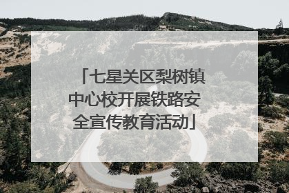七星关区梨树镇中心校开展铁路安全宣传教育活动