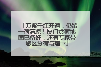 万紫千红开遍，仍留一荷清凉！厦门赏荷地图已备好，还有专家带您区分荷与莲→