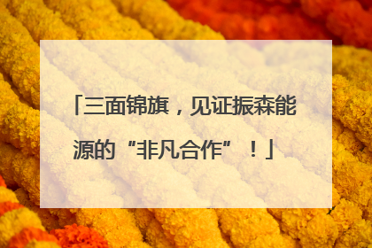 三面锦旗，见证振森能源的“非凡合作”！
