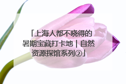 上海人都不晓得的 暑期宝藏打卡地｜自然资源探馆系列②