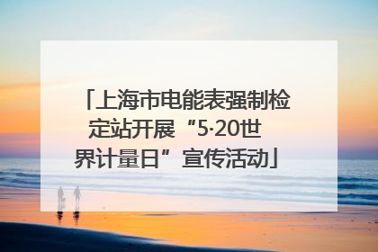上海市电能表强制检定站开展“5·20世界计量日”宣传活动