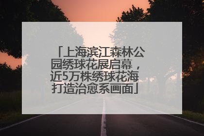上海滨江森林公园绣球花展启幕，近5万株绣球花海打造治愈系画面