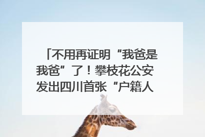 不用再证明“我爸是我爸”了！攀枝花公安发出四川首张“户籍人口直系亲属关系谱”