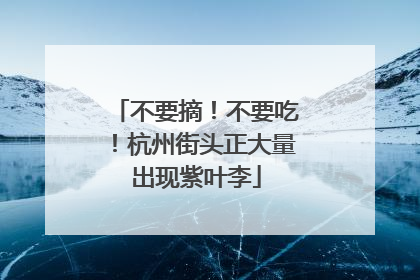 不要摘！不要吃！杭州街头正大量出现紫叶李