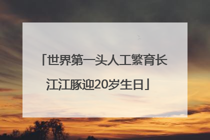 世界第一头人工繁育长江江豚迎20岁生日