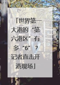 世界第一大港的“第六港区”有多“6”？记者直击开港现场