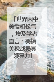 世界因中美缓和松气，埃及学者直言：美搞关税战损其领导力
