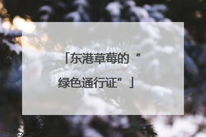 东港草莓的“绿色通行证”