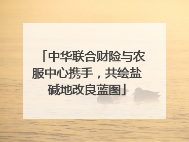 中华联合财险与农服中心携手，共绘盐碱地改良蓝图