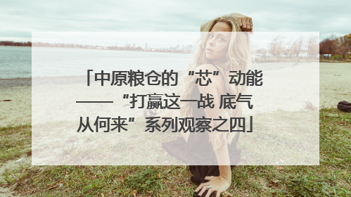 中原粮仓的“芯”动能——“打赢这一战 底气从何来”系列观察之四