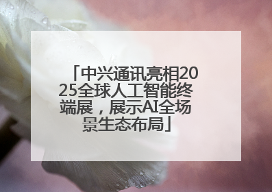 中兴通讯亮相2025全球人工智能终端展，展示AI全场景生态布局