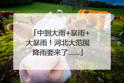 中到大雨+暴雨+大暴雨！河北大范围降雨要来了……
